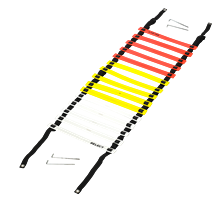 SELECT - Koordinationsleiter v22