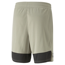 Puma -PUMA FIT ULTRABREATHE 5 Short Q2, Shorts