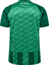 HUMMEL - WER 24/25 Home Jersey S/S Wom Fan, Trikot