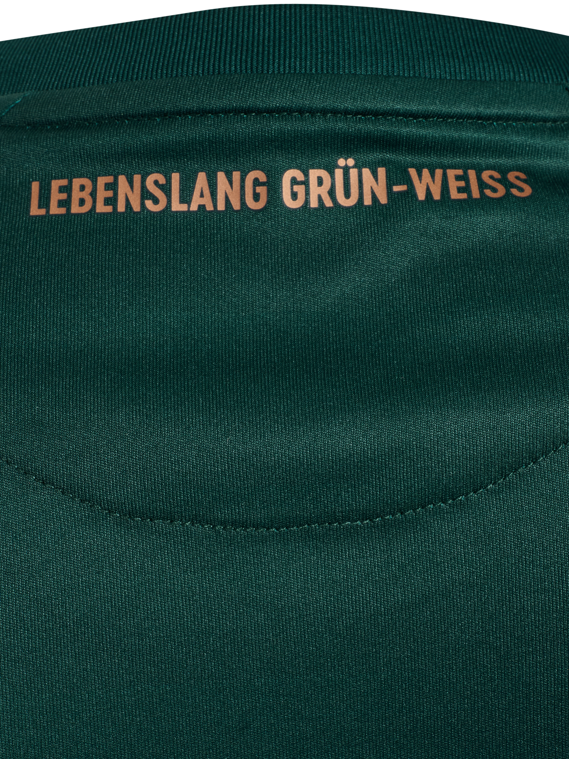 HUMMEL - Werder Bremen 25/26 3rd Jersey Mens S/S, Trikot