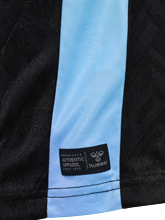 HUMMEL - WER 24/25 GK JERSEY S/S KIDS, Trikot