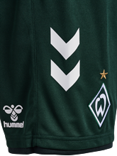 HUMMEL - WER 23/24 3rd SHORTS, Hose