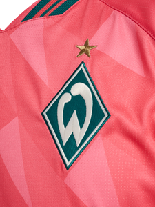 HUMMEL - WER 26/27 3RD JERSEY S/S KIDS, Trikot
