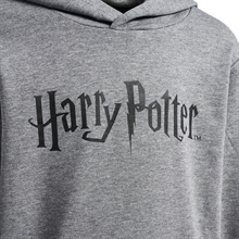 HUMMEL - hmlHARRY Potter Kids Hoodie, Kapuzenpulli