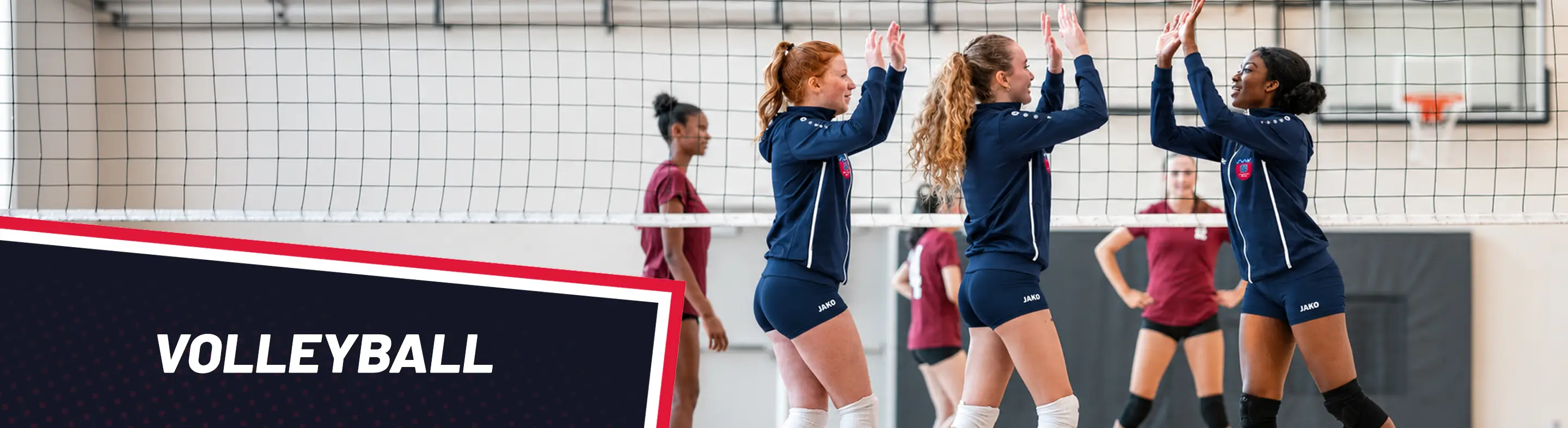 Volleyball